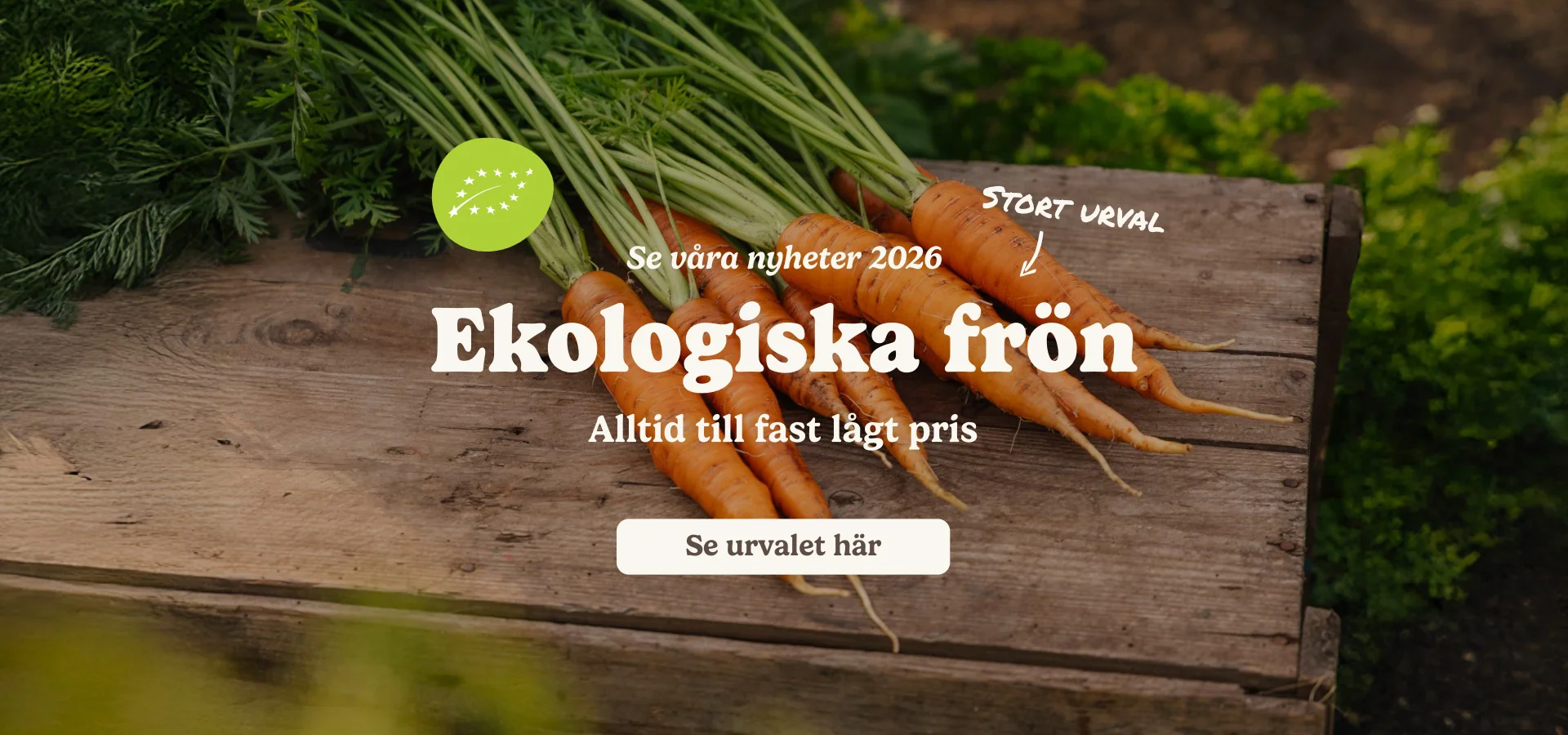 Odla drömmen för 35 kronor
