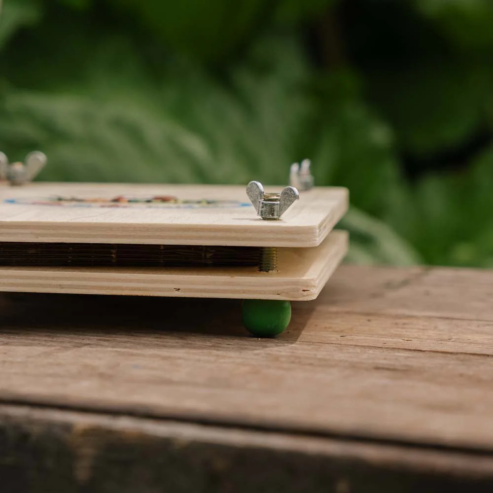 Miniatyrbild 2
