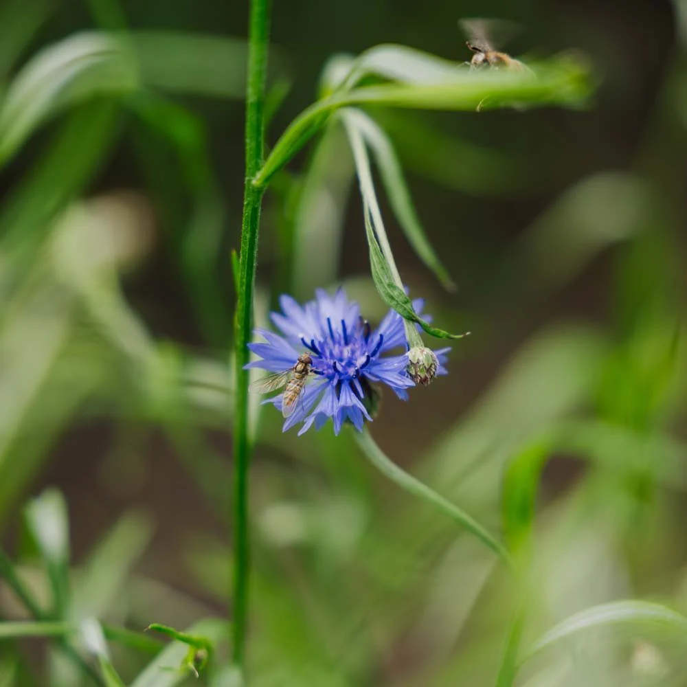 Produktbild 2